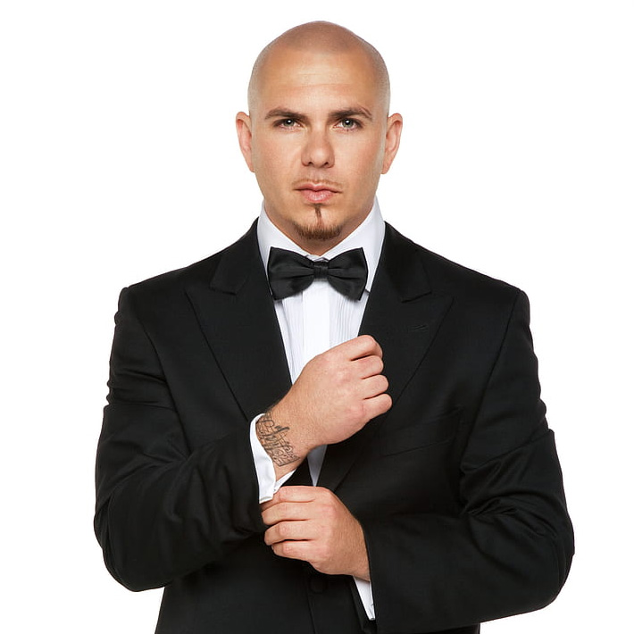 Pitbull