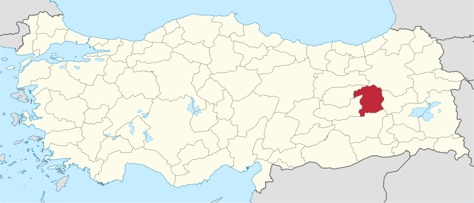 Bingöllü ünlüler