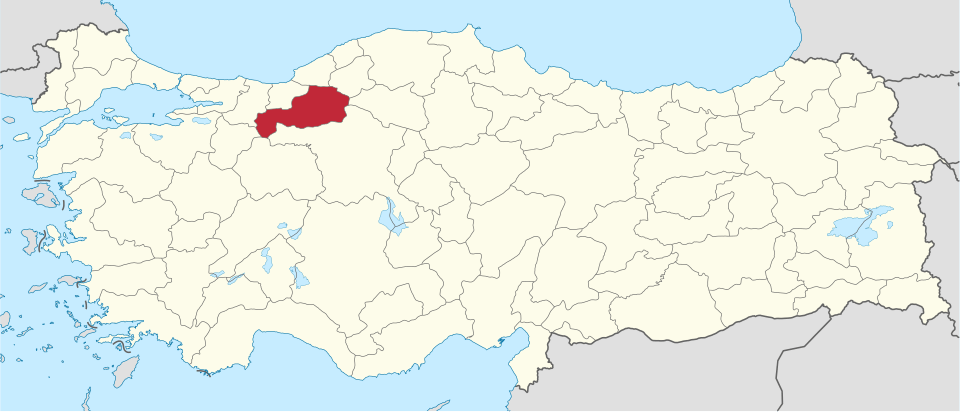 Bolulu ünlüler