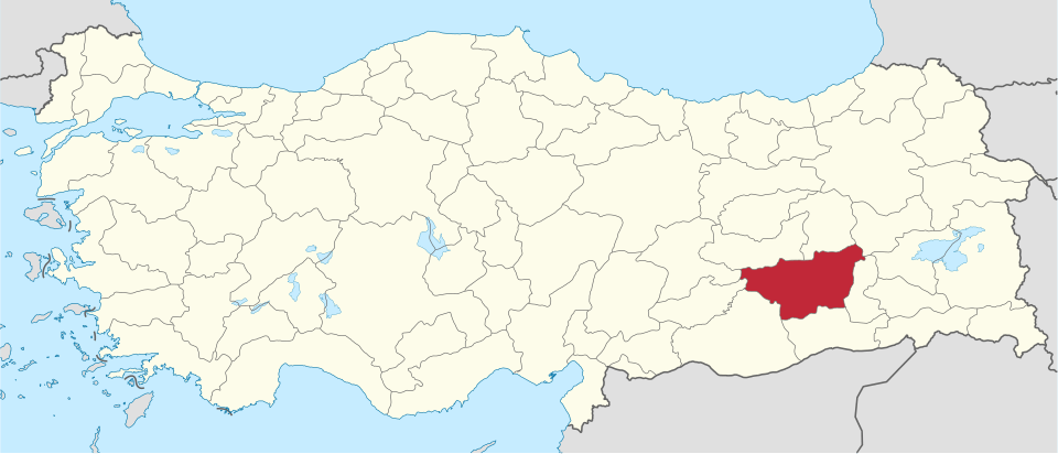 Diyarbakırlı ünlüler