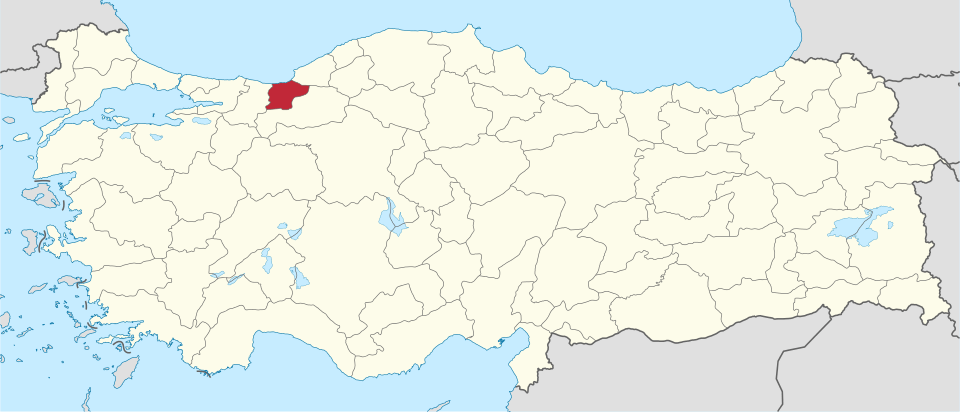 Düzceli ünlüler