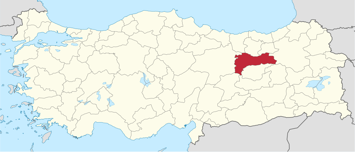 Erzincanlı ünlüler