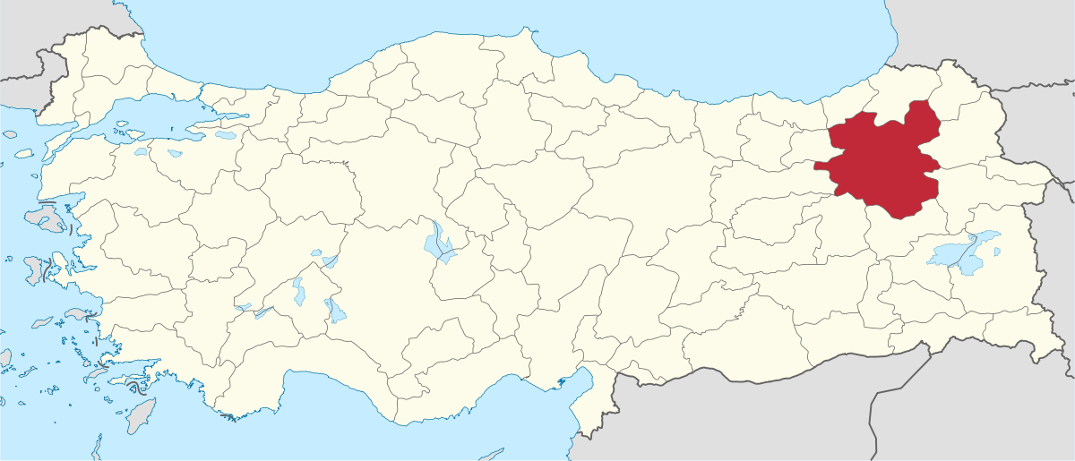 Erzurumlu ünlüler