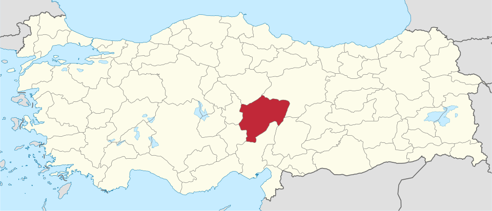 Kayserili ünlüler