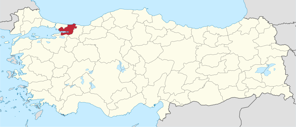Kocaelili ünlüler