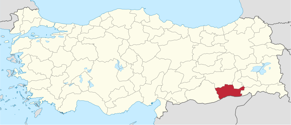 Mardinli ünlüler