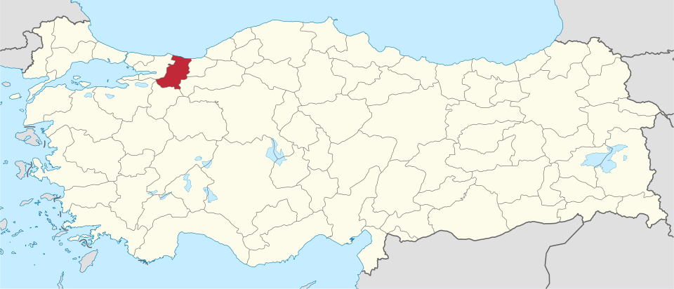 Sakaryalı ünlüler