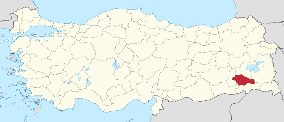 Siirtli ünlüler