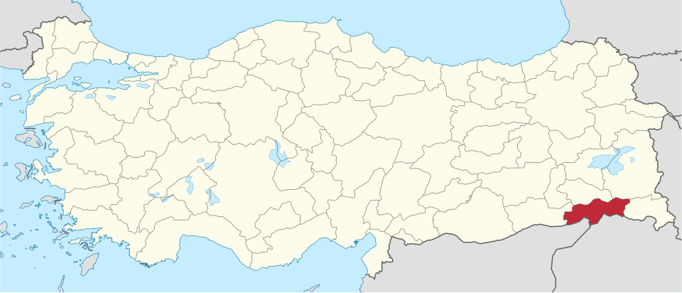 Şırnaklı ünlüler