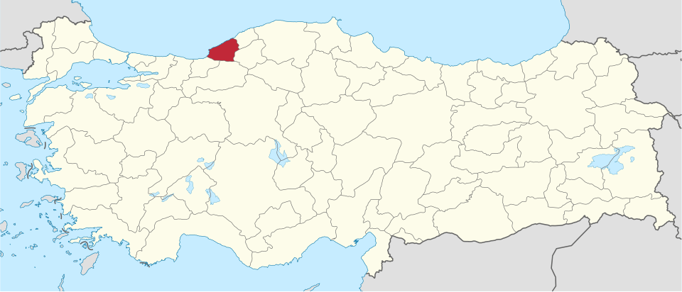 Zonguldaklı ünlüler