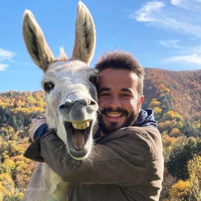 Cihan Çelik